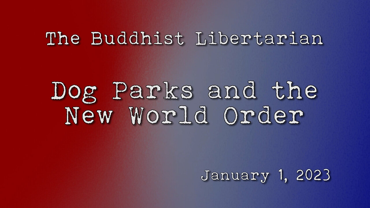 DOG PARKS AND THE NEW WORLD ORDER (AN AWAKE PERSON READS THE FAKE NEWS)