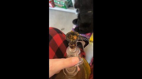 Day 8 The last of the Winnie’s Kush Wax