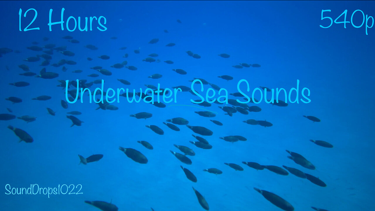 Peaceful 12 Hours Of Underwater Sea Sounds