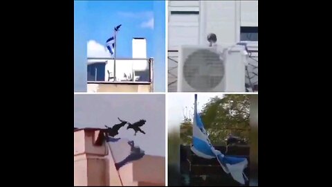 anti-semitic birds at work. deleting israel flags