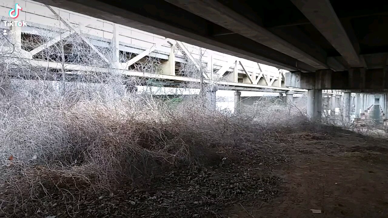 Under The Bixby Bridge in Oklahoma