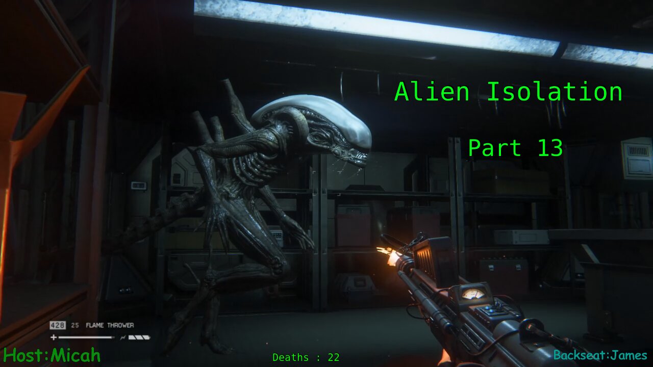 Alien Isolation : Excessive screaming , Little details, and sus