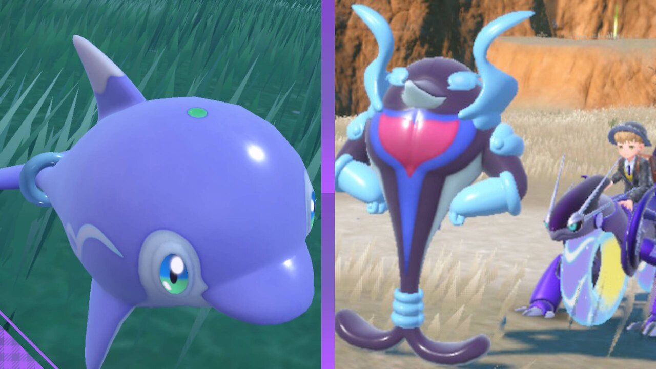 Shiny Finizen Reaction + Evolution