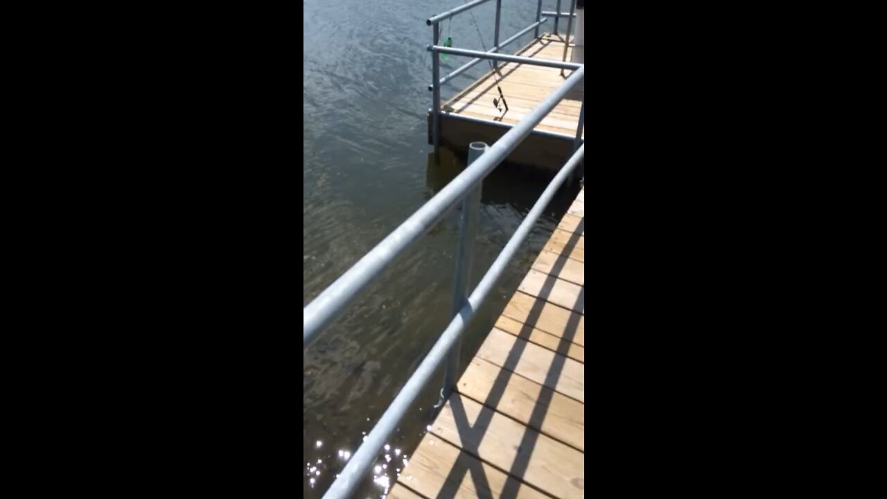 The fishing pole thief