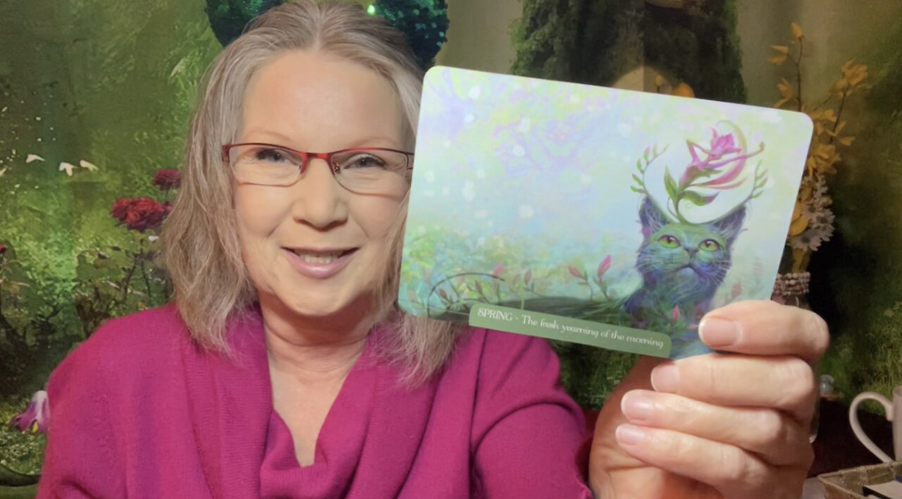 Spring - February 18, 2023 Daily Reading #dailytarot