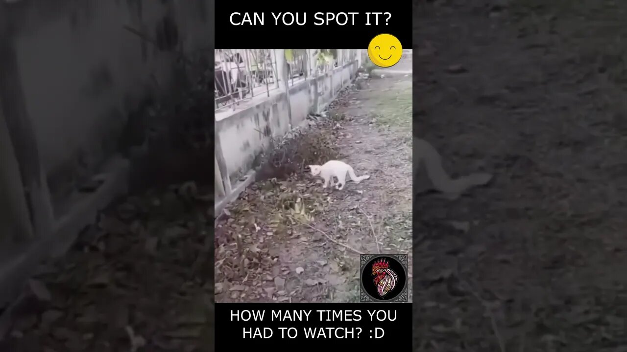 IT TOOK ME 3 TIMES TO SPOT IT, CAN YOU? 🤓
