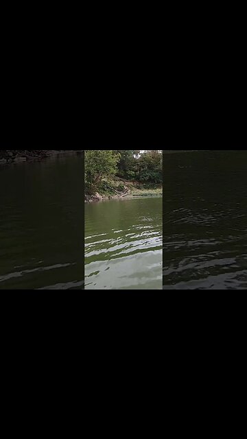 NO lure left behind!! ( whopper plopper rescue!)