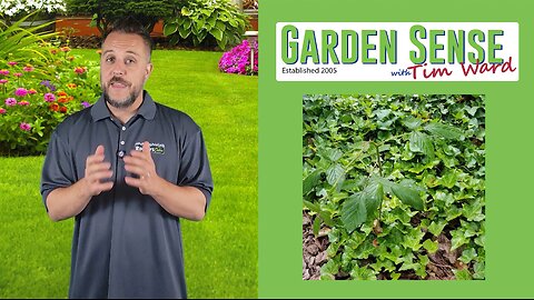 Garden Sense with Tim Ward - 09.25.24