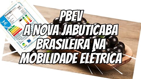 INMETRO QUER ACABAR COM A MOBILIDADE ELÉTRICA