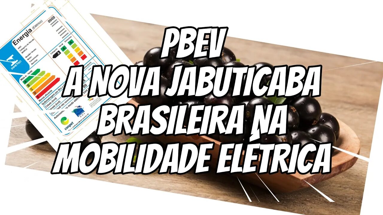 INMETRO QUER ACABAR COM A MOBILIDADE ELÉTRICA