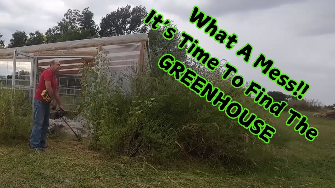 REDISCOVERING our Earth Contact Greenhouse!