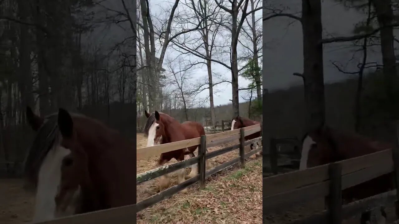 The boys and their lady