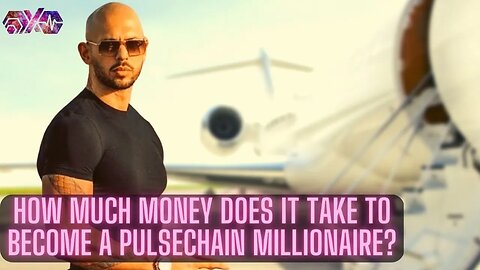 How Much MONEY Does It Take To Become A PULSECHAIN MILLIONAIRE?