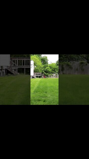 Oddly Soothing Sounds of Summer