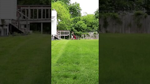 Oddly Soothing Sounds of Summer