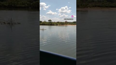 Poti Velho