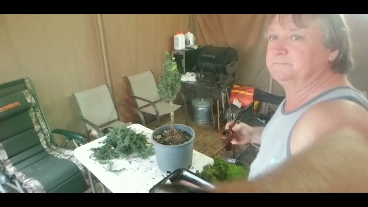 The Tunnell Take #567 A pipe and a bonsai