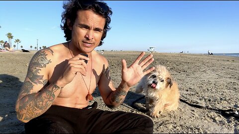 rosies dog beach | masefudogg tao te ching 52 tai chi 108 and ren 15