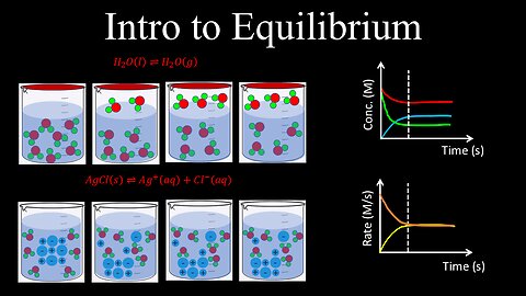 Intro to Equilibrium, Graphs of Concentration and Rate Vs Time - Chemistry