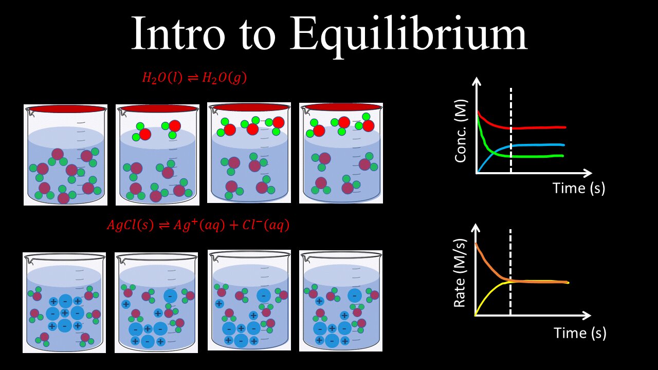 Intro to Equilibrium, Graphs of Concentration and Rate Vs Time - Chemistry