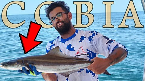 Texas Inshore Fishing Gone Wild Cobia & Speckled Trout Adventure!