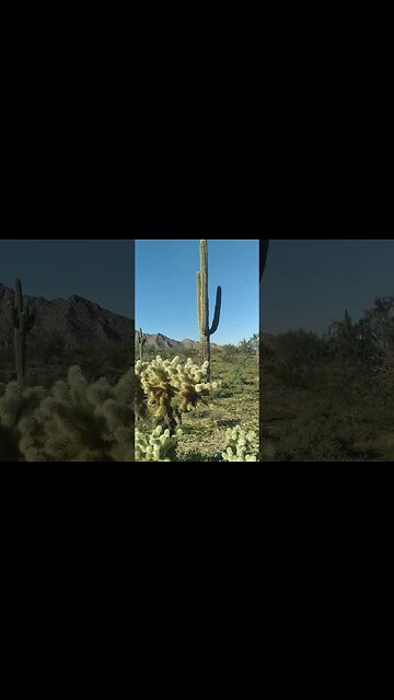 4 White Tank Mountain 1.27.2023 ☆☆☆