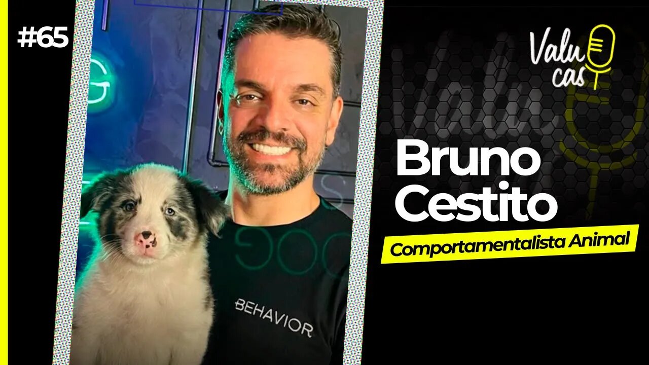 Tudo sobre como adestrar o seu Pet - Bruno Cestito #065