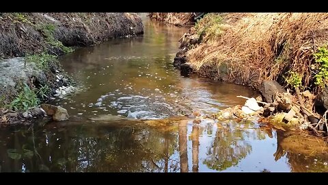 creek spill montage!