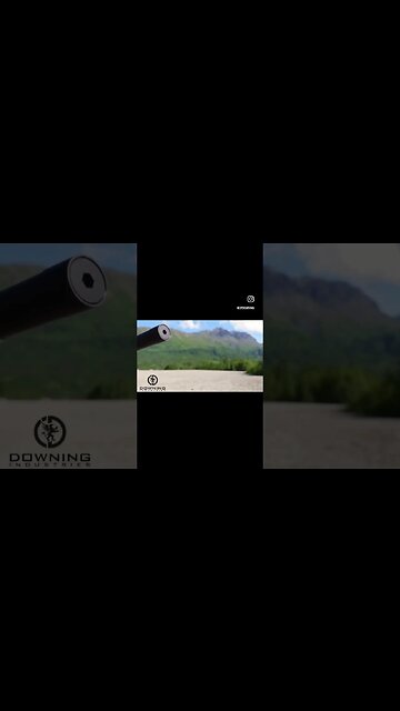 Mosquito almost ate it…