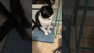 Good Afternoon Middle East!