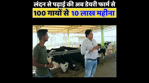 dairy farming trik