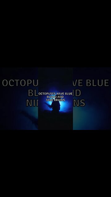 Incredible Random Facts That Will Expand Your Mind! #shorts #facts #viralshorts #fyp #life