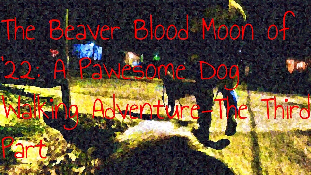 The Beaver Blood Moon of '22: A Pawsome Dog Walking Adventure-The Third Part