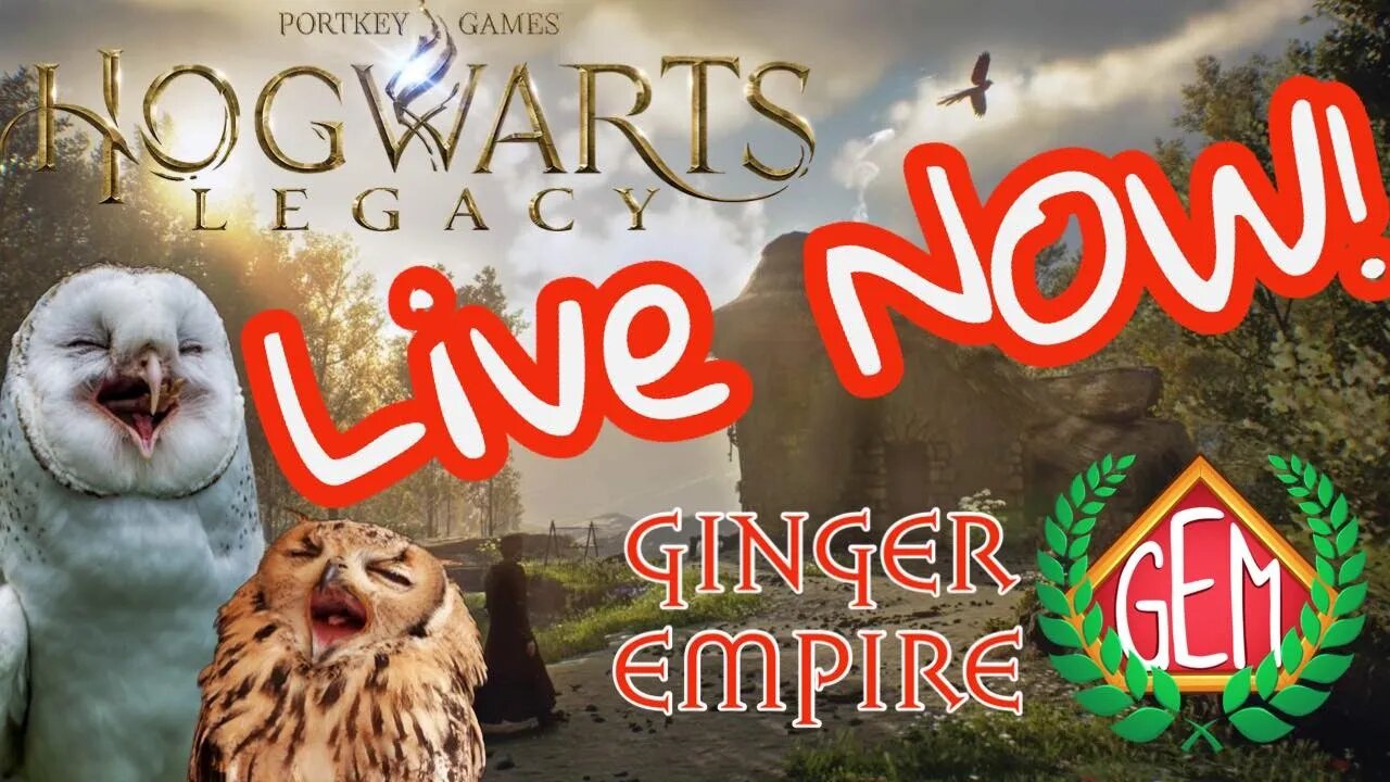 ⚡Hogwarts Legacy LIVE Catching Up and Exploring!⚡