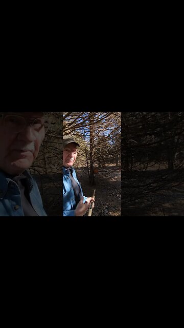 Winter Pumpkin Season!