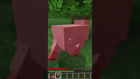 Don't give me that look sheep #shorts #minecraft