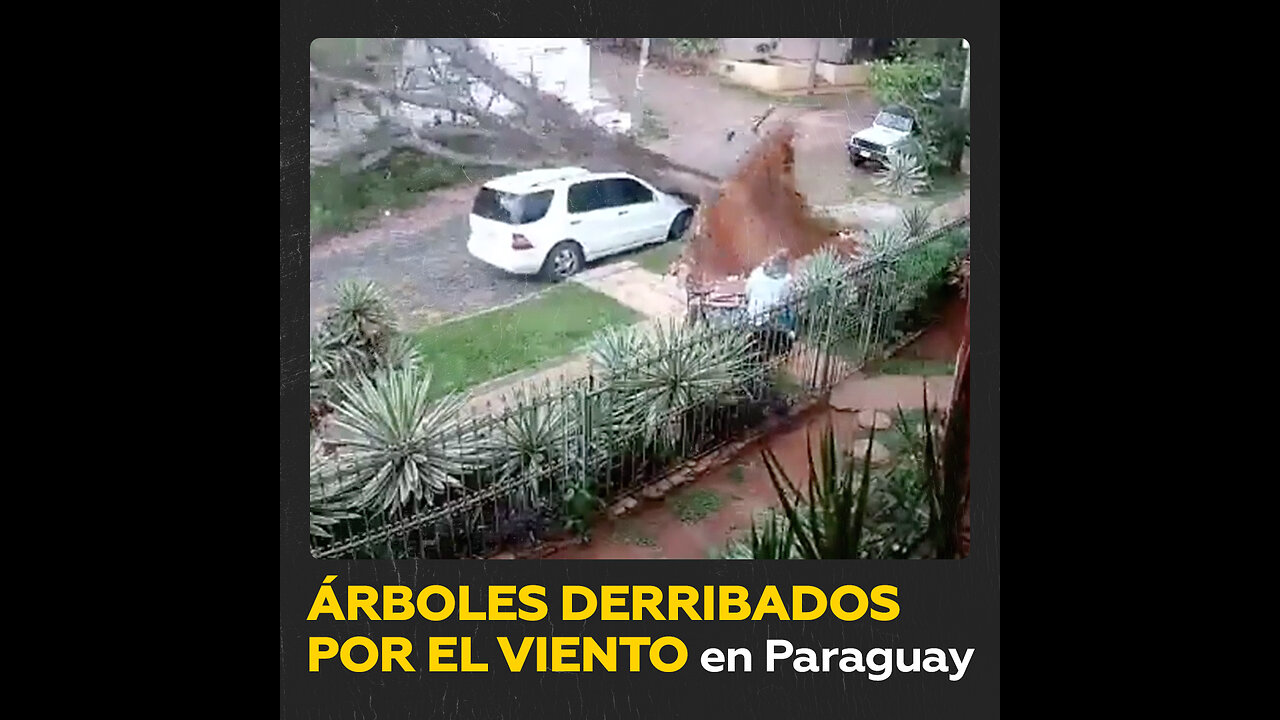 Gran cantidad de árboles caídos por un fuerte temporal en Paraguay