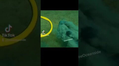 Found 5 iphones under this dock