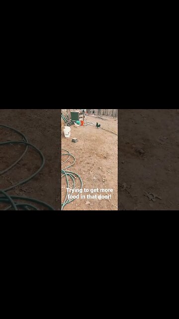 Now they act like nothing's going on!