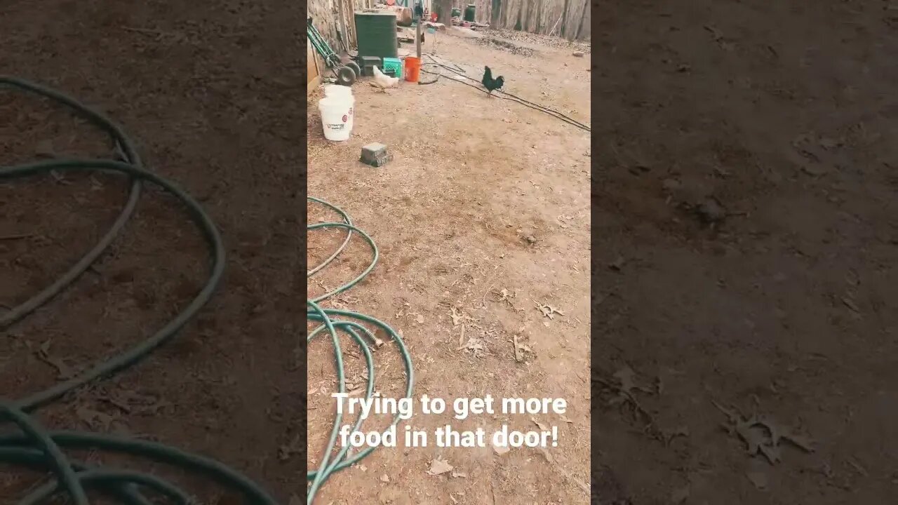 Now they act like nothing's going on!