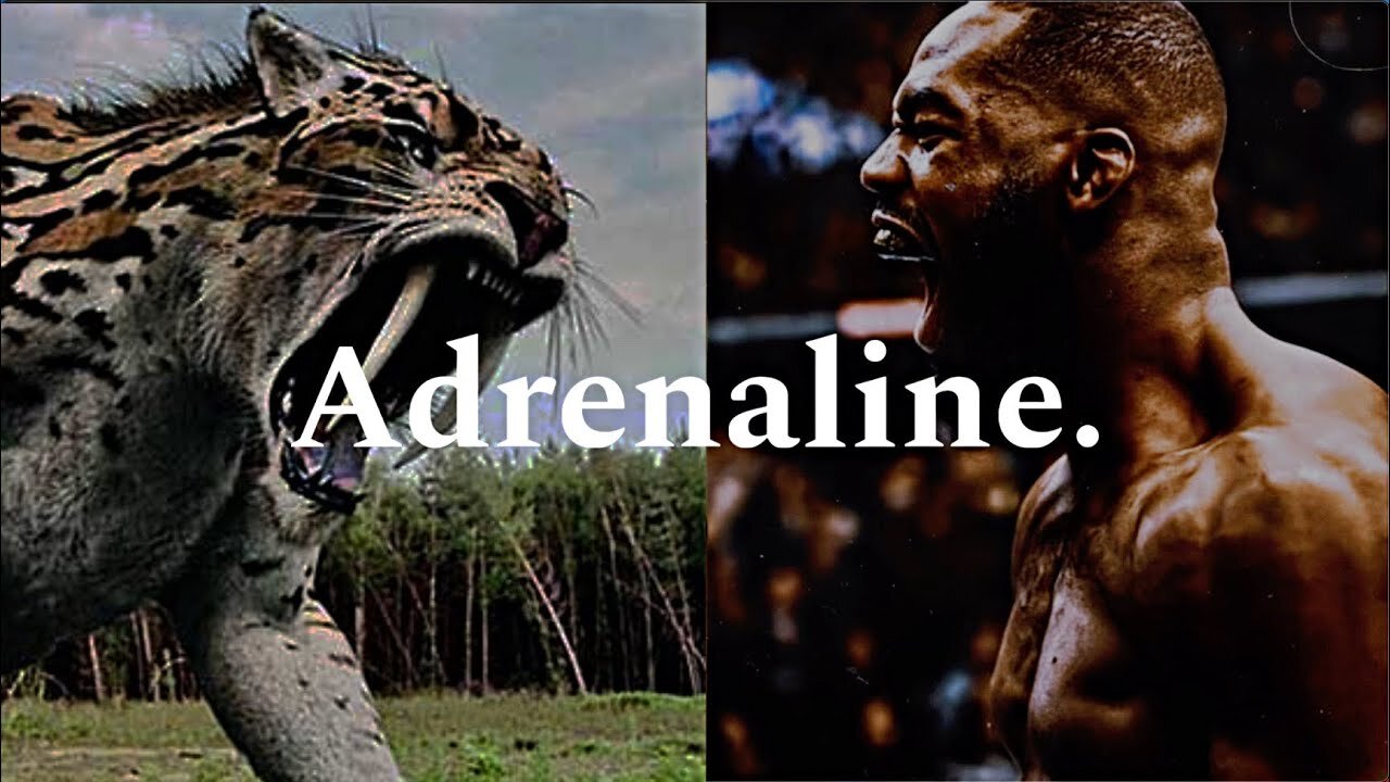 Adrenaline