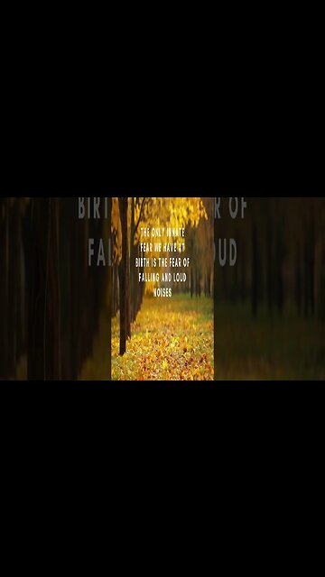 Incredible Random Facts That Will Expand Your Mind! #shorts #facts #viralshorts #fyp #life