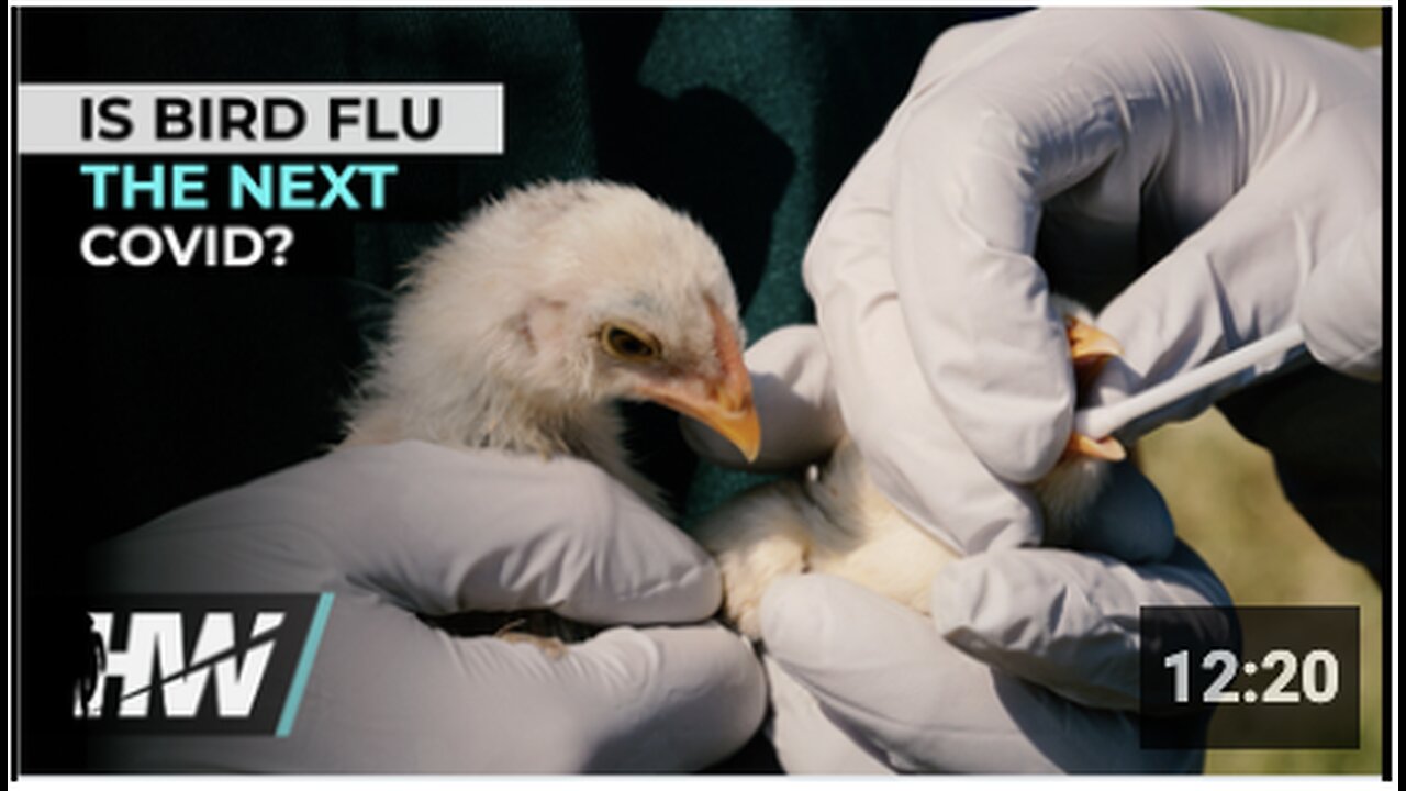 IS BIRD FLU THE NEXT COVID?