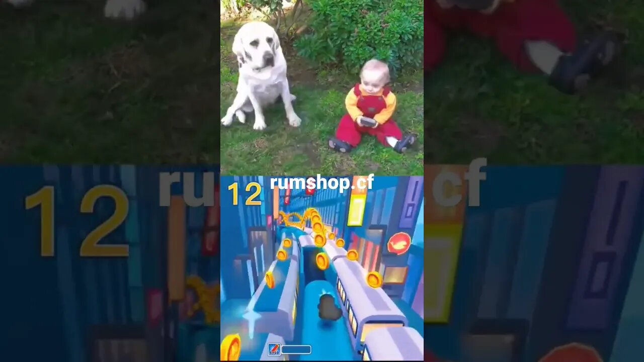 family guy clips