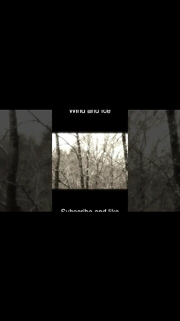 Waiting out WinterWind and Ice #shorts