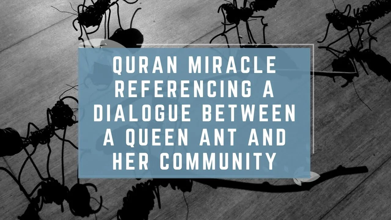 Quran Miracle Referencing a Dialogue Between a Queen Ant and Her Community