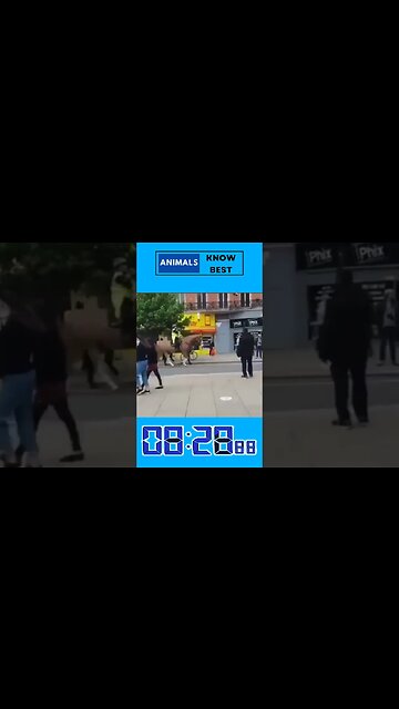 Animals Know Best! It's the People Who Don't Get It!