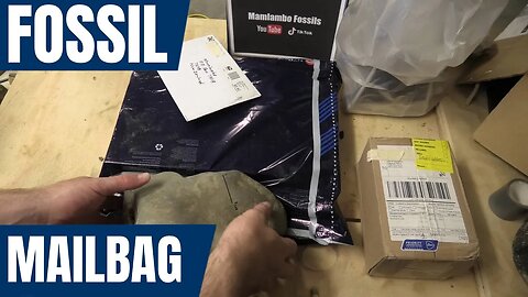 Fossil mailbag December 2022