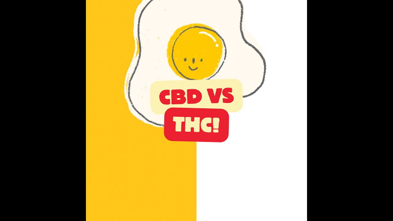 CBD vs. THC: Exploring the Differences