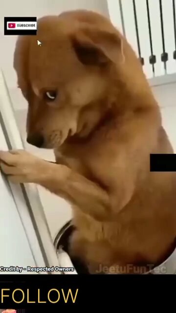 English Song Beats #shorts Dance Video | Snehu Savita | Nritya Performance